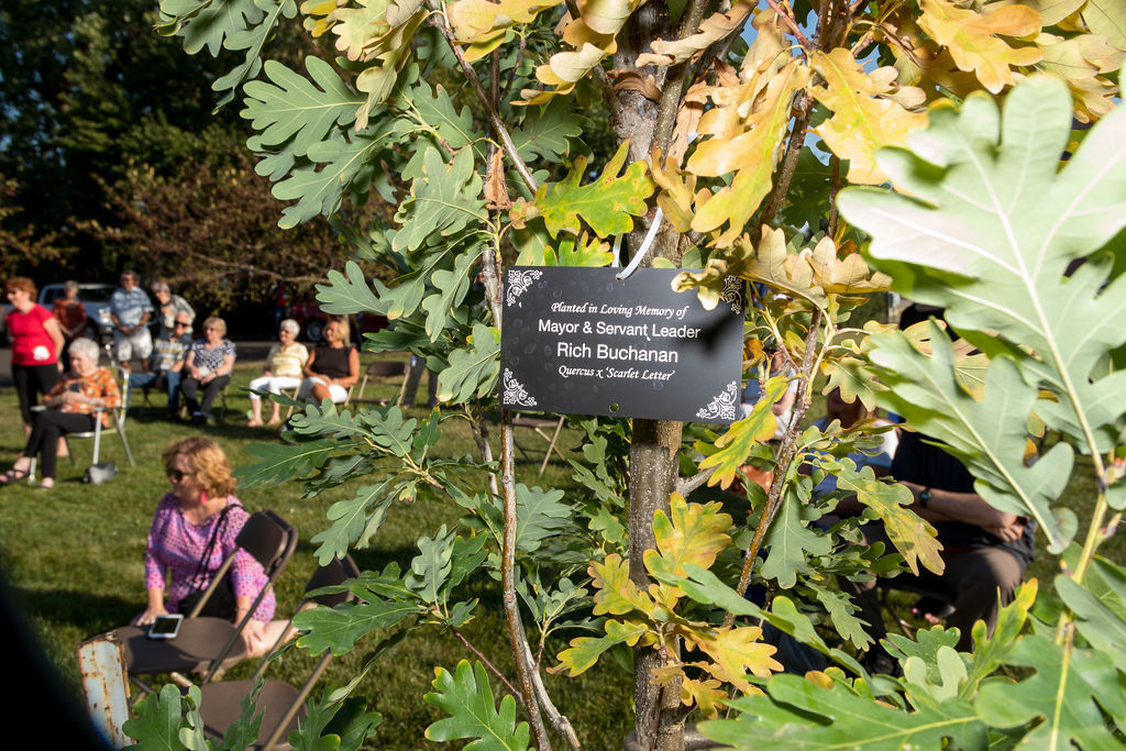 Rich Buchanan tree tag